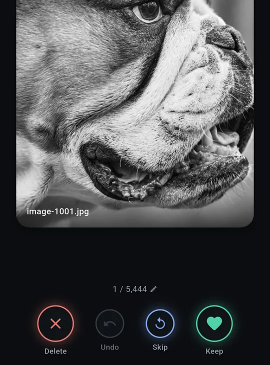 A photo in swipe review, number 1 of 5,444, above the Delete, Undo, Skip and Keep buttons